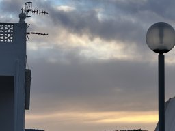 254-17-01-2026 IMG_3465